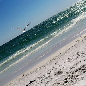 Meet your Posher, Rae